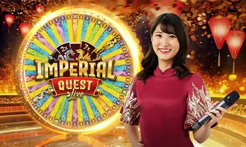 Live dealer casino experience